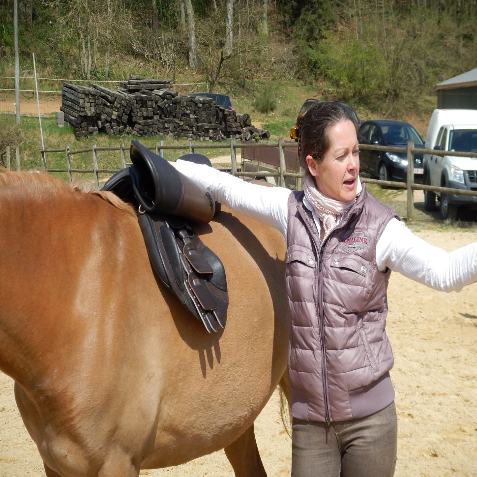 Vidéo : introduction au saddle fitting